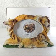 Collie Dogs Photo Frame Holds One 6x4 Picture