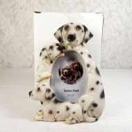 Dalmatian Dogs Photo Frame Holds One 2x3 Picture