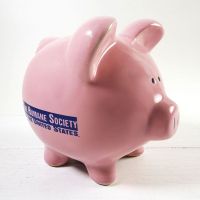 Pink Pig Humane Society Vintage Ceramic Piggy Bank with Rubber Stopper Main View - Click to enlarge