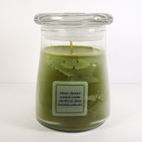 Citrus Cilantro 15 oz. Scented Candle in a Glass Jar - Click to enlarge