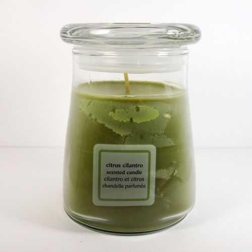 Citrus Cilantro 15 oz. Scented Candle in a Glass Jar