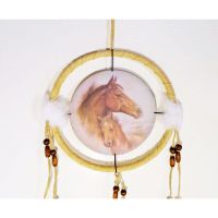Dream Catcher with round canvas print of a colt affectionally leaning on its mother. Dreamcatcher Wall Hanging: Closeup View - Click to enlarge