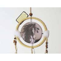 Dream Catcher with round canvas print of a wild spotted horse with feathers in his mane - Dreamcatcher Wall Hanging: Closeup View - Click to enlarge