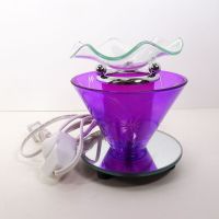 Wildflowers on Purple Electric Scented Oil Tart Warmer with Mirrored Base: Front View - Click to enlarge