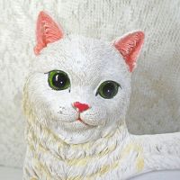 White Cats Photo Frame Holds One 6x4 Picture - Click to enlarge