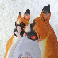 Boxer Dogs Photo Frame Holds One 4x6 Picture - Click to enlarge