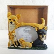 Chihuahua Dogs Photo Frame Holds One 6x4 Picture