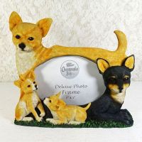 Chihuahua Dogs Photo Frame Holds One 6x4 Picture - Click to enlarge