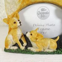 Chihuahua Dogs Photo Frame Holds One 6x4 Picture - Click to enlarge