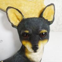 Chihuahua Dogs Photo Frame Holds One 6x4 Picture - Click to enlarge
