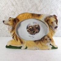 Collie Dogs Photo Frame Holds One 6x4 Picture - Click to enlarge