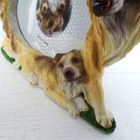 Collie Dogs Photo Frame Holds One 6x4 Picture - Click to enlarge