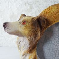 Collie Dogs Photo Frame Holds One 6x4 Picture - Click to enlarge