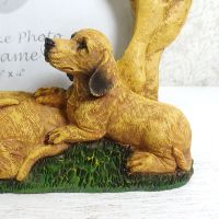 Dachshund Dogs Photo Frame Holds One 6x4 Picture - Click to enlarge
