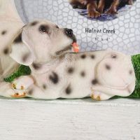 Dalmatian Dogs Photo Frame Holds One 6x4 Picture - Click to enlarge