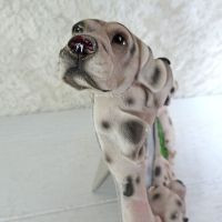 Dalmatian Dogs Photo Frame Holds One 6x4 Picture - Click to enlarge