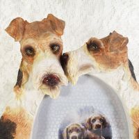 Fox Terrier Dogs Photo Frame Holds One 4x6 Picture - Click to enlarge