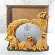 Golden Retriever Dogs Photo Frame Holds One 6x4 Picture