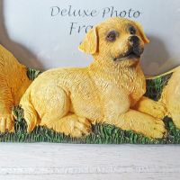 Golden Retriever Dogs Photo Frame Holds One 6x4 Picture - Click to enlarge