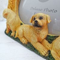 Golden Retriever Dogs Photo Frame Holds One 6x4 Picture - Click to enlarge