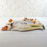 Jack Russell Dogs Photo Frame Holds One 4x6 Picture - Click to enlarge