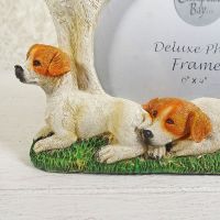 Jack Russell Dogs Photo Frame Holds One 6x4 Picture - Click to enlarge