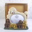 Animal Photo Frames - Large