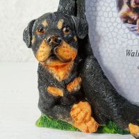 Rottweiler Dogs Photo Frame Holds One 4x6 Picture - Click to enlarge