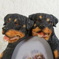 Rottweiler Dogs Photo Frame Holds One 4x6 Picture - Click to enlarge