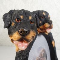Rottweiler Dogs Photo Frame Holds One 4x6 Picture - Click to enlarge