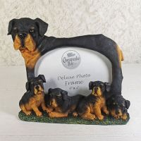 Rottweiler Dogs Photo Frame Holds One 6x4 Picture - Click to enlarge