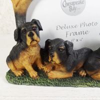 Rottweiler Dogs Photo Frame Holds One 6x4 Picture - Click to enlarge