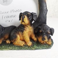 Rottweiler Dogs Photo Frame Holds One 6x4 Picture - Click to enlarge