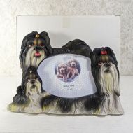 Shih Tzu Dogs Photo Frame Holds One 6x4 Picture