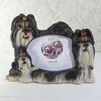 Shih Tzu Dogs Photo Frame Holds One 6x4 Picture - Click to enlarge