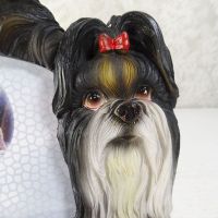 Shih Tzu Dogs Photo Frame Holds One 6x4 Picture - Click to enlarge