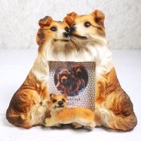 Collie Dogs Photo Frame Holds One 2x3 Picture - Click to enlarge