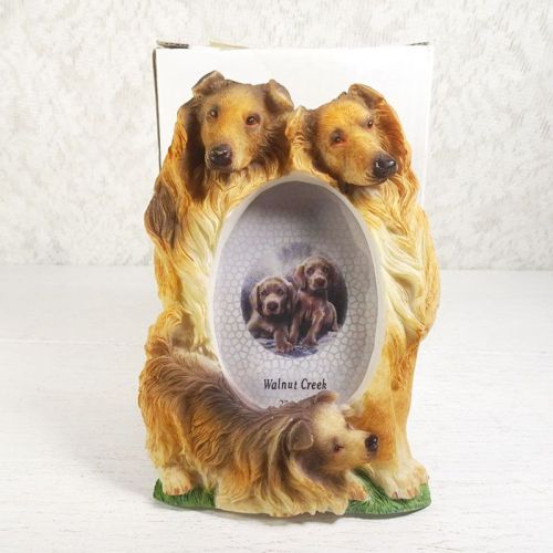 Collie Dogs Tall Photo Frame Holds One 2x3 Picture