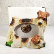 Fox Terrier Dogs Photo Frame Holds One 3x2 Picture