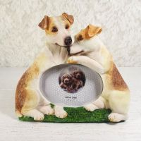 Jack Russell Dogs Photo Frame Holds One 3x2 Picture - Click to enlarge