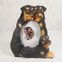 Rottweiler Dogs Photo Frame Holds One 2x3 Picture - Click to enlarge
