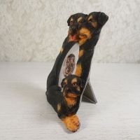 Rottweiler Dogs Photo Frame Holds One 2x3 Picture - Click to enlarge