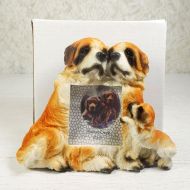 Saint Bernard dog breed picture frame in a detailed, life like, polyresin figurine style: With Box View