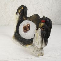 Shih Tzu Dogs Photo Frame Holds One 3x2 Picture - Click to enlarge