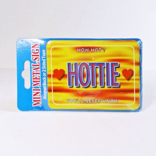 How Hot Hottie Mini Metal Magnet Sign