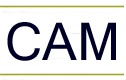 CAM Bargain Store